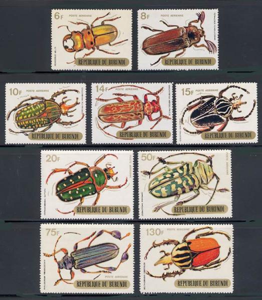 Skap-burundi_03_beetles-gold_c110-18.jpg