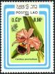 Colnect-2550-052-Cattleya-percivaliana.jpg