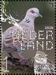 Colnect-6529-018-European-Turtle-Dove-Streptopelia-turtur.jpg