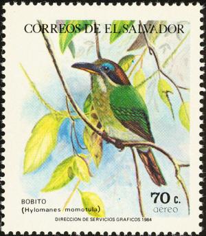 Colnect-1102-164-Tody-Motmot-Hylomanes-momotula.jpg