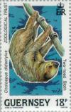 Colnect-126-077-Linnaeus--s-two-toed-Sloth-Choloepus-didactylus.jpg