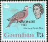 Colnect-1462-556-Red-eyed-Dove-Streptopelia-semitorquata---overprinted.jpg