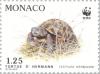 Colnect-149-525-Hermann-s-Tortoise-Testudo-hermanni.jpg