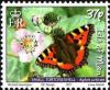 Colnect-3952-702-Small-Tortoiseshell-Aglais-urticae.jpg