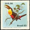 Colnect-718-159-Green-billed-Toucan-Ramphastos-dicolorus.jpg