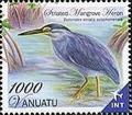 Colnect-1256-397-Striated-Heron-Butorides-striatus-ssp-solomonensis.jpg