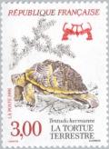 Colnect-146-053-Hermann-s-Tortoise-Testudo-hermanni.jpg