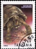 Colnect-3544-312-Galapagos-Tortoise-Geochelone-elephantopus.jpg