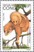 Colnect-4194-054-Calabar-Potto-Arctocebus-calabarensis.jpg