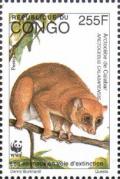 Colnect-4194-056-Calabar-Potto-Arctocebus-calabarensis.jpg