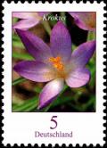 Colnect-5200-229-Crocus-tommasinianus---Crocus.jpg