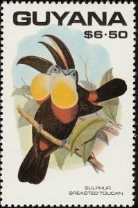 Colnect-1664-557-Keel-billed-Toucan-Ramphastos-carinatus.jpg