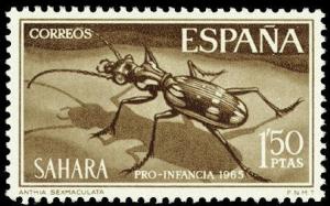 Colnect-1392-854-Egyptian-Predator-Beetle-Anthia-sexmaculata.jpg