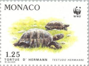 Colnect-149-523-Hermann-s-Tortoise-Testudo-hermanni.jpg