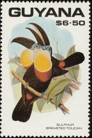 Colnect-1664-557-Keel-billed-Toucan-Ramphastos-carinatus.jpg