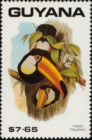 Colnect-1664-560-Common-Toucan-Rhamphastus-toco.jpg