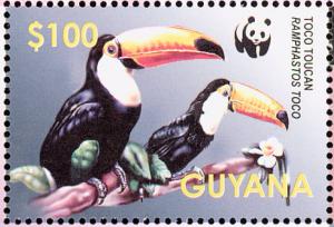 Colnect-1664-586-Common-Toucan-Ramphastos-toco.jpg