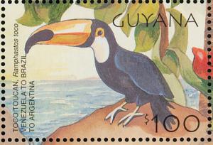 Colnect-1664-613-Common-Toucan-Ramphastos-toco.jpg