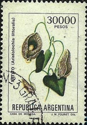 Colnect-1745-409-Aristolochia-littoralis.jpg