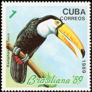 Colnect-1989-011-Common-Toucan-Ramphastos-toco.jpg