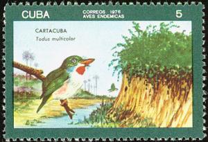 Colnect-2307-516-Cuban-tody-Todus-multicolor.jpg