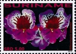 Colnect-4044-951-Miltoniopsis-Portelet.jpg