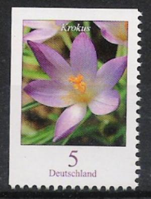 Colnect-580-108-Crocus-tommasinianus---Crocus.jpg