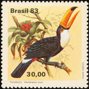 Colnect-718-157-Common-Toucan-Ramphastos-toco.jpg