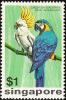 Colnect-1623-939-Sulphur-crested-Cockatoo-Cacatua-galerita-Blue-and-yellow.jpg