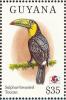 Colnect-1664-226-Keel-billed-Toucan-Ramphastos-sulfuratus.jpg