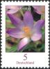 Colnect-4295-593-Crocus-tommasinianus---Crocus.jpg