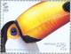 Colnect-182-531-Common-Toucan-Ramphastos-toco.jpg