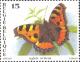 Colnect-2702-195-Small-Tortoiseshell-Aglais-urticae.jpg