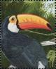 Colnect-3523-337-Common-Toucan-Ramphastos-toco.jpg