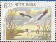 Colnect-555-971-Oriental-White-Stork-Ciconia-ciconia-boyciana-.jpg