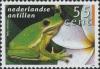 Colnect-1016-619-Green-Treefrog-Hyla-cinerea.jpg