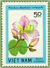 Colnect-1630-526-Orchid-Tree-bauhinia-Variegata.jpg