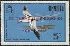 Colnect-1925-314-White-tailed-Tropicbird-Phaethon-lepturus.jpg