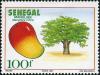 Colnect-2133-365-Mango-Tree-Mangifera-indica.jpg