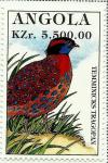 Colnect-2221-081-Temminick-s-Tragopan-Tragopan-temminckii.jpg