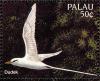 Colnect-2425-159-White-tailed-Tropicbird-Phaethon-lepturus.jpg