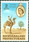 Colnect-2840-213-Kalahari-Police-Patrol-Dromedary-Camelus-dromedarius.jpg