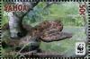 Colnect-3623-948-Pacific-Tree-Boa-Candoia-bibroni.jpg