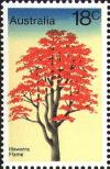 Colnect-476-981-Illawarra-Flame-Tree---Brachychiton-acerifolius.jpg