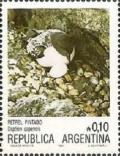 Colnect-1632-418-Cape-Petrel-Daption-capensis-.jpg