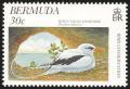 Colnect-2598-768-White-tailed-Tropicbird-Phaethon-lepturus.jpg