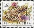 Colnect-875-481-Greek-Stream-Frog-Rana-graeca.jpg