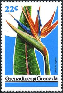 Colnect-3680-332-Strelitzia-reginae.jpg