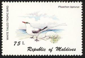 Colnect-1631-835-White-tailed-Tropicbird-Phaethon-lepturus.jpg