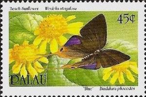 Colnect-1802-441-Sea-Daisy-Wedelia-strigulosa-Plane-Bindahara-phocides.jpg